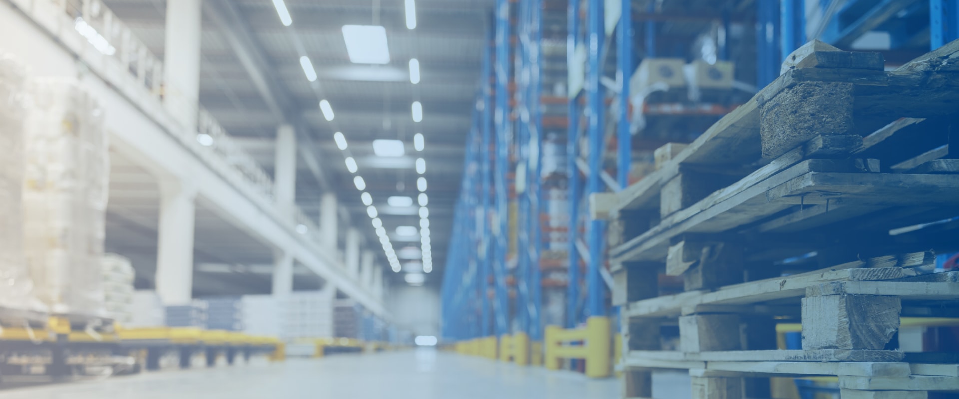 Comparing Service Offerings for Logistics, Wholesalers, and Retail Distributors