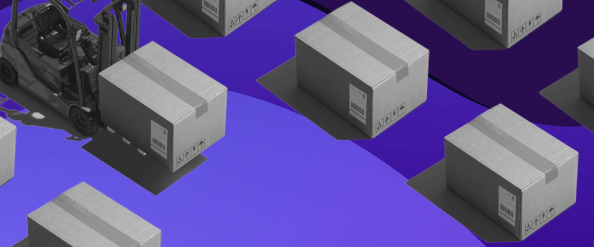 Layout and Organization: Optimizing Your Supply Chain for Success