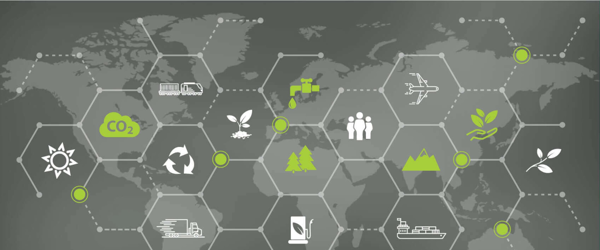 The Environmental Impact of Supply Chain Operations